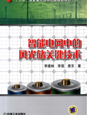 智能电网中的风光储关键技术