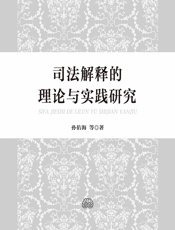 司法解释的理论与实践研究 - 孙佑海[等]