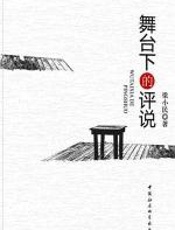舞台下的评说 - 梁小民