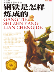 钢铁是怎样炼成的【9787537646611】