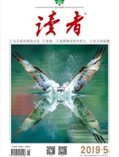 读者半月刊2019年05期