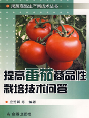 提高番茄商品性栽培技术问答