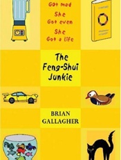 The feng-shui junkie - Brian Gallagher