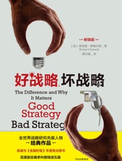 好战略，坏战略（畅销版） - [美]理查德·鲁梅尔特