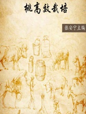 桃高效栽培 - 张安宁