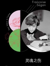 萨冈作品系列：灵魂之伤