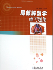 局部解剖学练习题集