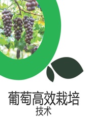 葡萄高效栽培技术 - 车艳芳,曹花平