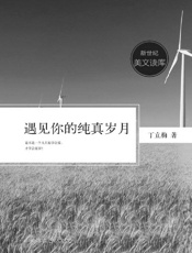 遇见你的纯真岁月