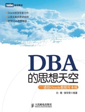 DBA的思想天空：感悟Oracle数据库本质