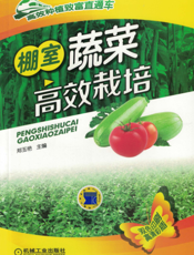 棚室蔬菜高效栽培
