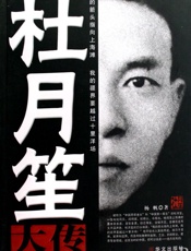 杜月笙大传 - 杨帆