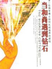 当和尚遇到钻石 - （美）罗奇格西