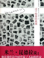 过于喧嚣的孤独