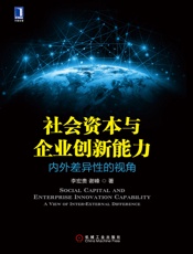 社会资本与企业创新能力：内外差异性的视角 - 李宏贵 & 谢峰