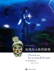 皮埃尔或夜的秘密