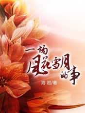 海岩-一场风花雪月的事