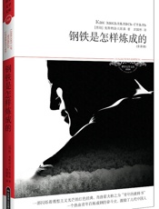 钢铁是怎样炼成的)