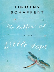 The Coffins of Little Hope - Timothy Schaffert