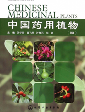 中国药用植物（四）