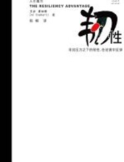 韧性 - 艾尔•赛伯特