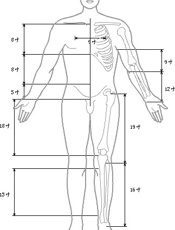 中医针灸学-中医