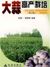 大蒜高产栽培