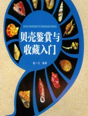 贝壳鉴赏与收藏入门 - 赵一凡