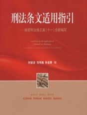刑法条文适用指引——根据刑法修正案（十一）全新编写 - 时延安，刘传稿，孙俊青