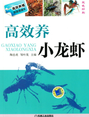 高效养小龙虾