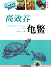 高效养龟鳖