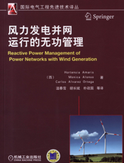 风力发电并网运行的无功管理