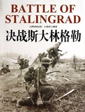 决战斯大林格勒