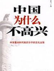 中国为什么不高兴 - 贺雄飞