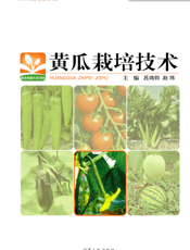 黄瓜栽培技术