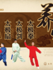 养生太极拳 太极剑 太极扇从初学到高手