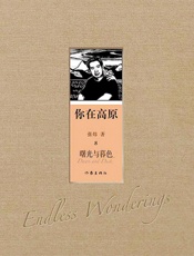 第8届茅盾文学奖-你在高原