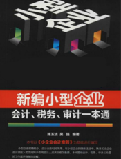 新编小型企业会计、税务、审计一本通