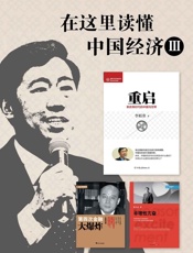 在这里读懂中国经济Ⅲ：重启+非理性亢奋+第四次金融大爆炸