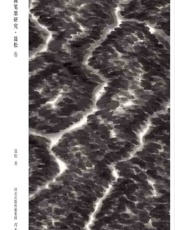 当代中国画笔墨研究（聂松卷） - 聂松