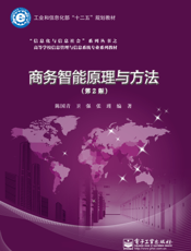 商务智能原理与方法