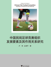 中国民间足球竞赛组织发展要素及其作用关系研究