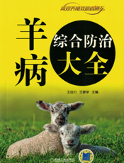 羊病综合防治大全