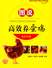 图说高效养蛋鸡