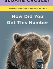 How Did You Get This Number (Ji - Sloane Crosley