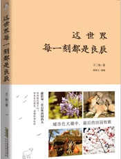 这世界每一刻都是良辰