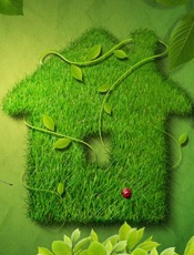 爱我就要说出来 - 红九