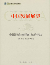 中国发展展望——中国迈向怎样的市场经济