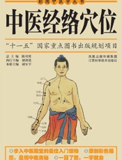 中医经络穴位