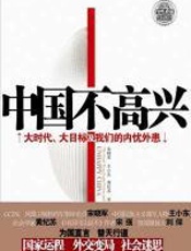 中国不高兴 - 宋晓军